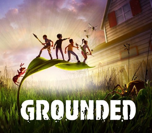 Grounded Image