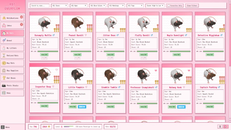 Rat Overflow Image