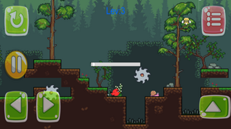 Birdall jump Image