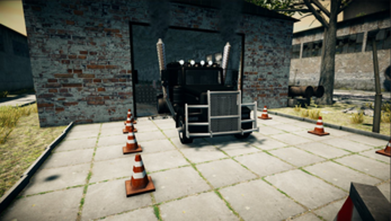 Real Truck Driver Image