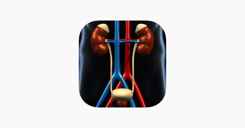 Genitourinary System Trivia Image