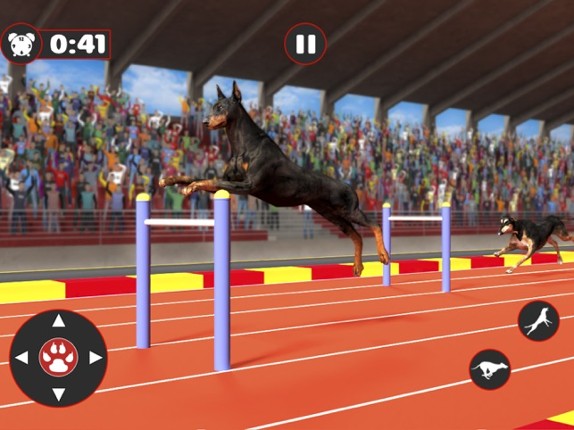 Greyhound Dog Racing Derby screenshot