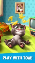 My Talking Tom Image