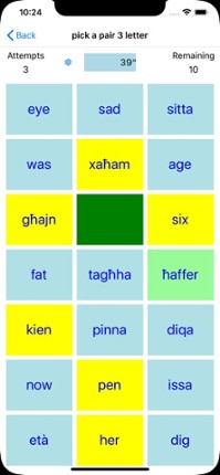 PickAPair Maltese - English Image