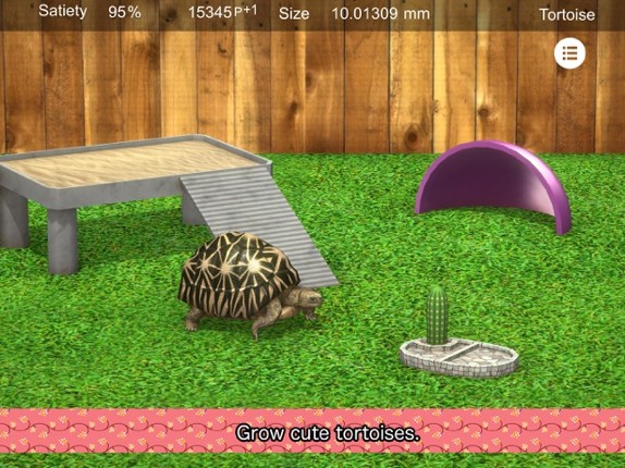 Tortoise to grow relaxedly screenshot