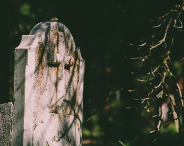 Games like What Lies Dead and Buried