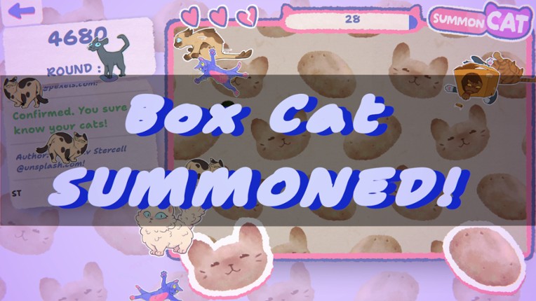 Cat or Potat Image