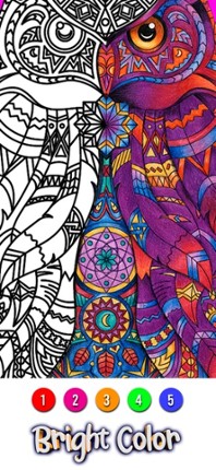 Coloring Me: Colors In Numbers Image