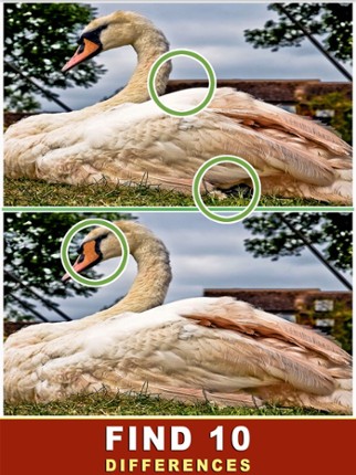 Find The Difference - Spot It screenshot