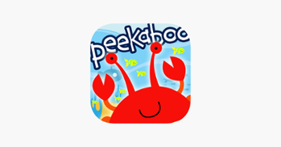 Peekaboo Ocean - Who's Hiding? Image