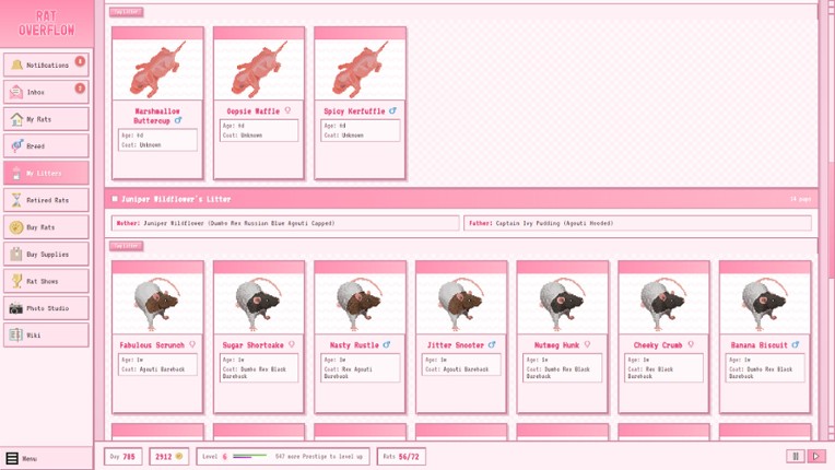 Rat Overflow Image