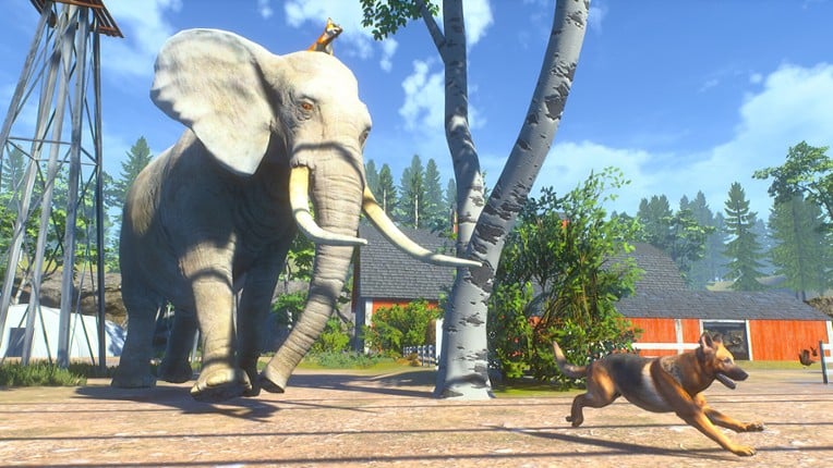 Chill Fox screenshot