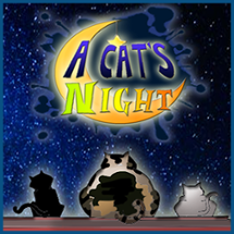 A Cat's Night Image