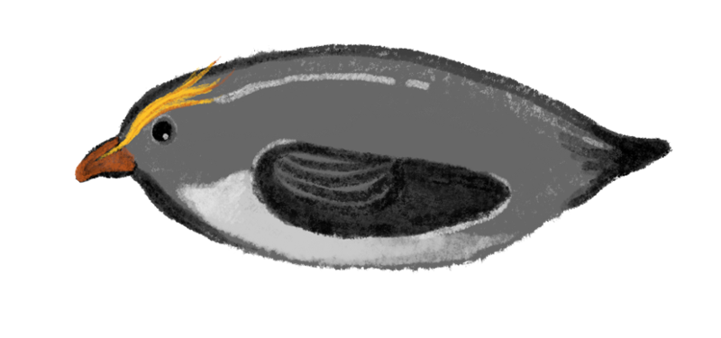 Tip of the Iceberg Image