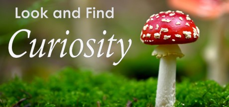 Games like Look and Find - Curiosity