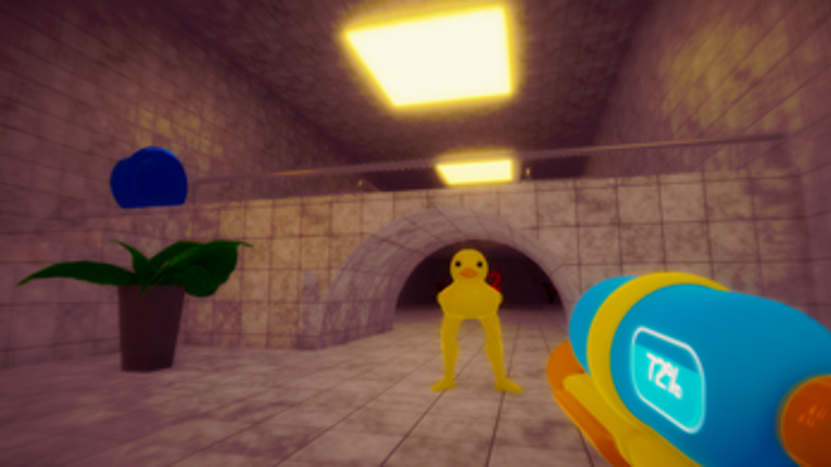 POOLDUCK Image