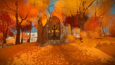 The Witness Image