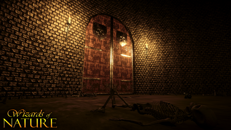 Wizards of Nature Image