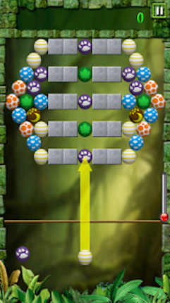 Egg Shoot Image