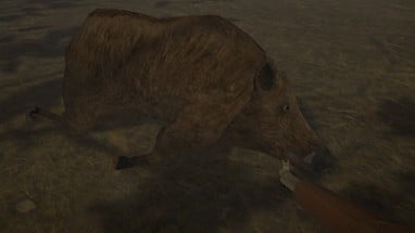 Hog Hunter 2021 Image