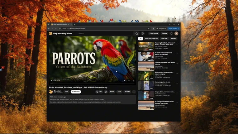 Tiny Desktop Birds Image