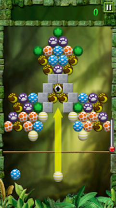 Egg Shoot Image