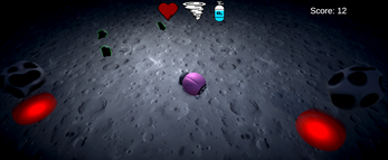 Pig in Space Image
