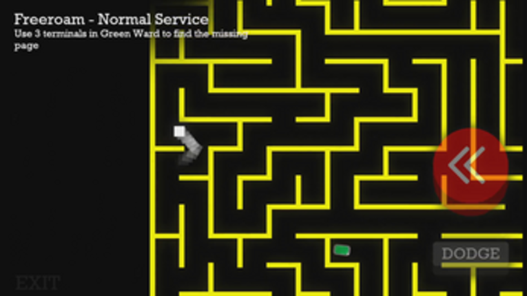 MAZE CHASE Image