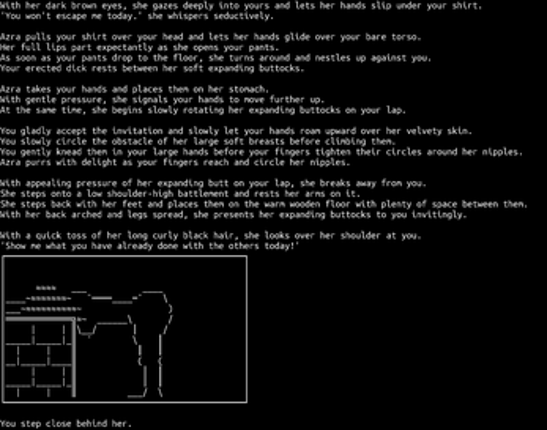 Some Medieval Adventures screenshot