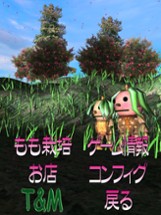 Momo's Peach Festival Farm Image