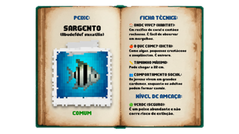 Além do Anzol Image