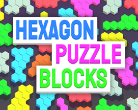 Hexagon Puzzle Blocks Image