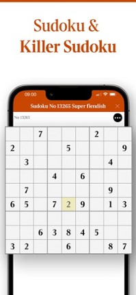 Times Puzzles Image