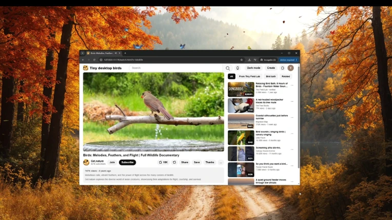 Tiny Desktop Birds screenshot