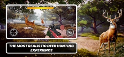 Deer Hunter - Marksman Classic Image