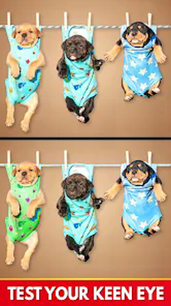 Find The Differences: Spot It screenshot