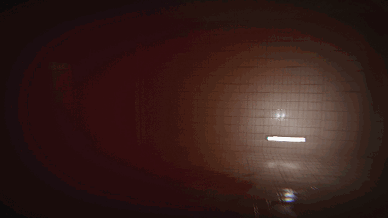 Oneirophobia Image