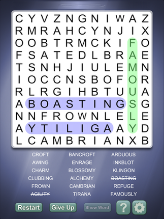 Word Search Infinite Image