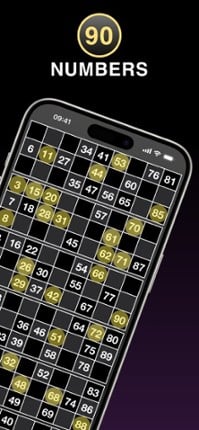 Bingo Caller, Cards &amp; Tickets screenshot