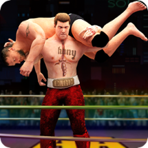 Beat Em Up Wrestling Game Image