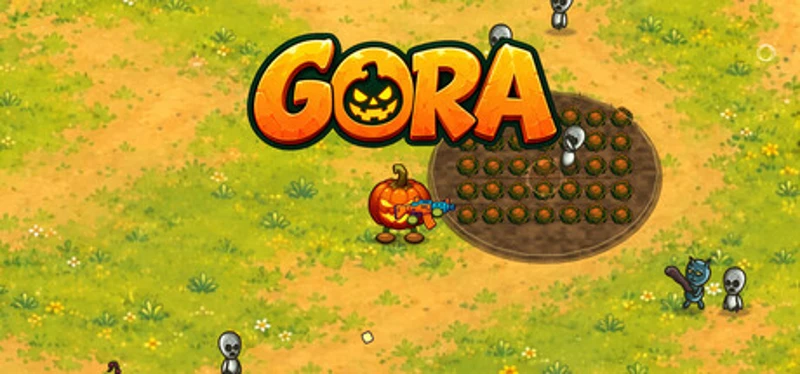 GORA Image