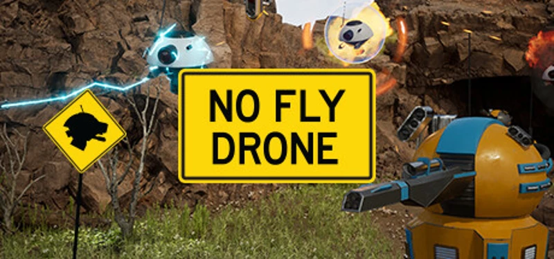 No Fly Drone Image