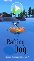 Rafting Dog Image