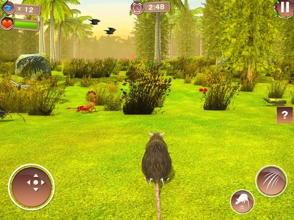 Rat Simulator Games 2020 screenshot