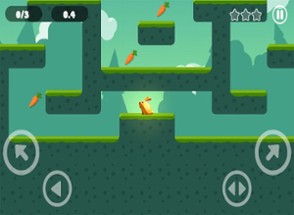 !!! Crazy Rabbit Run Escape Game Free Image