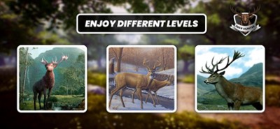 Deer Hunter - Marksman Classic Image