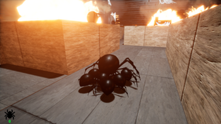 SpiderUp Image