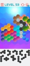 Hexagon Graph Puzzles Image