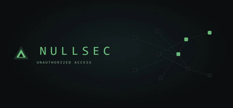 Nullsec: Unauthorized Access Image