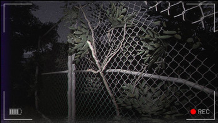 End of the Night Image